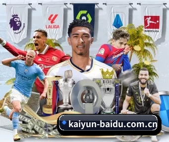 kaiyun-baidu.com.cn APP